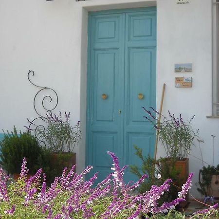 Bed and Breakfast Giardino Della Moscatella Altamura Zewnętrze zdjęcie