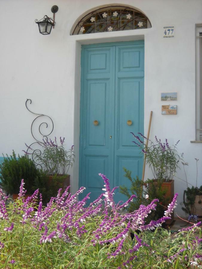 Bed and Breakfast Giardino Della Moscatella Altamura Zewnętrze zdjęcie