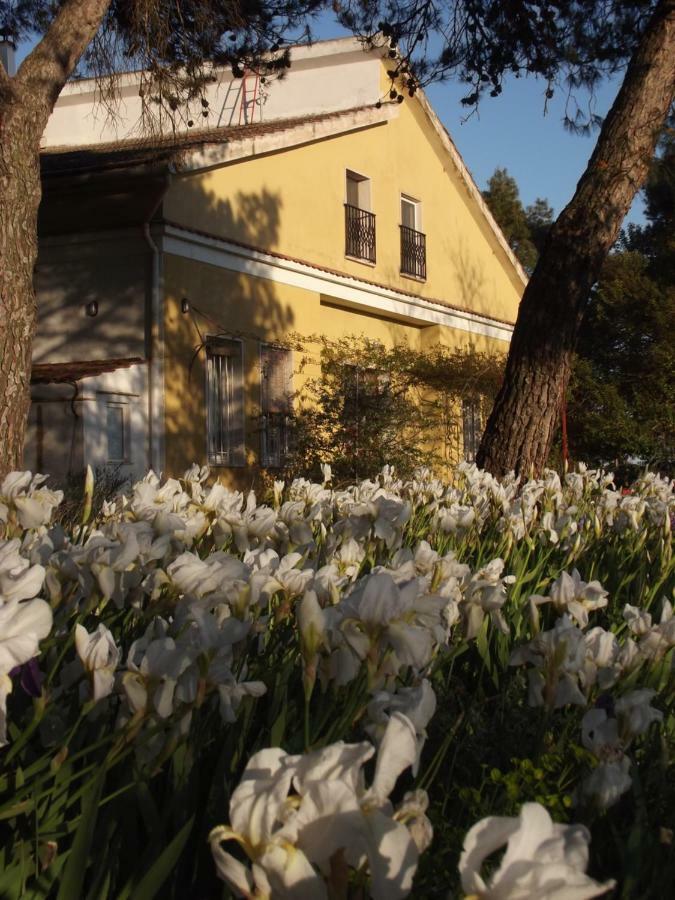 Bed and Breakfast Giardino Della Moscatella Altamura Zewnętrze zdjęcie